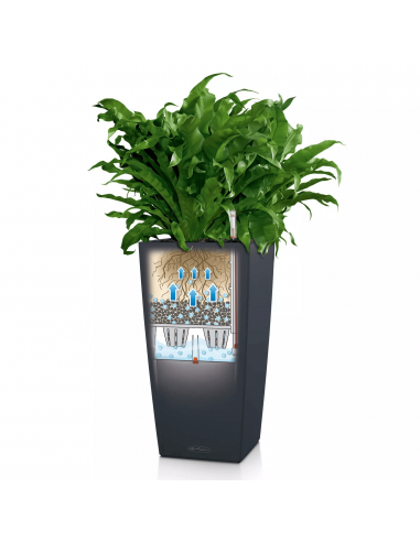 Pot à réserve d'eau Cubico Color 40 cm Blanc - Lechuza Lechuza Pot à réserve d'eau