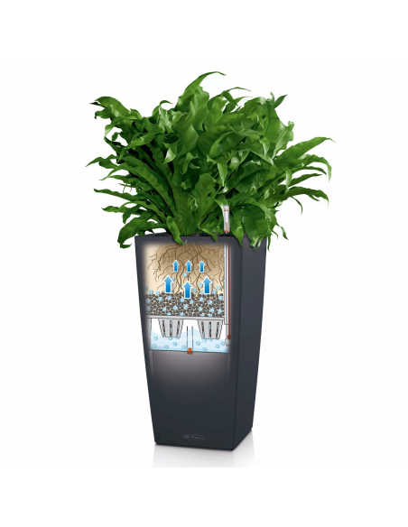 Pot à réserve d'eau Cubico Color 30 cm Gris - Lechuza Lechuza Pot à réserve d'eau