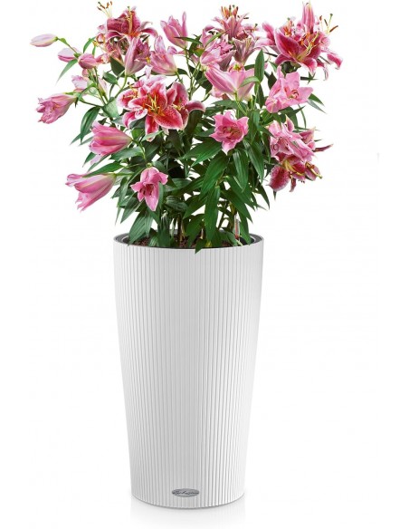 Pot à réserve d'eau Cilindro Color 23 cm Blanc - Lechuza Lechuza Pot à réserve d'eau