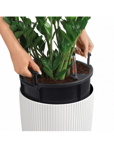 Pot à réserve d'eau Cilindro Color 23 cm Beige Sable - Lechuza Lechuza Pot à réserve d'eau