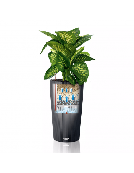 Pot à réserve d'eau Cilindro Color 23 cm Beige Sable - Lechuza Lechuza Pot à réserve d'eau