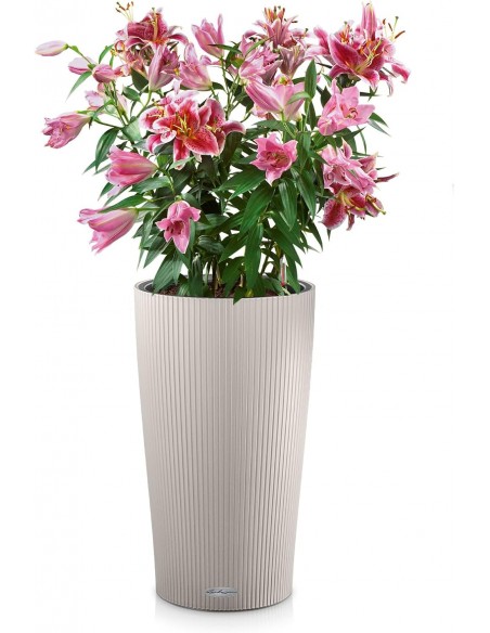 Pot à réserve d'eau Cilindro Color 23 cm Beige Sable - Lechuza Lechuza Pot à réserve d'eau