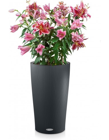 Pot à réserve d'eau Cilindro Color 23 cm Gris Ardoise - Lechuza Lechuza Pot à réserve d'eau