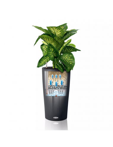 Pot à réserve d'eau Cilindro Color 32 cm Beige Sable - Lechuza Lechuza Pot à réserve d'eau