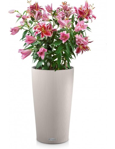 Pot à réserve d'eau Cilindro Color 32 cm Beige Sable - Lechuza Lechuza Pot à réserve d'eau