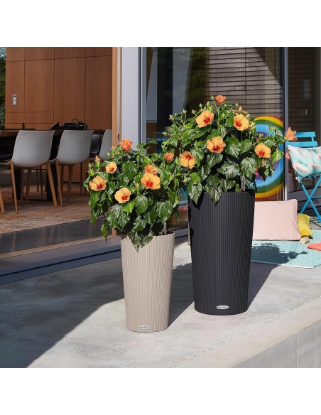 Pot à réserve d'eau Cilindro Color 32 cm Beige Sable - Lechuza Lechuza Pot à réserve d'eau