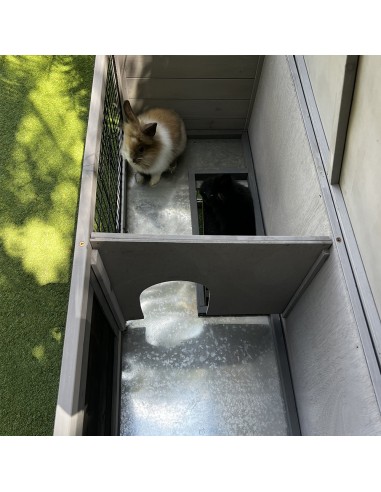 Clapier Double PAN PAN L.104 x l.52 x H.92 cm - Greenway Green Way NC Clapier