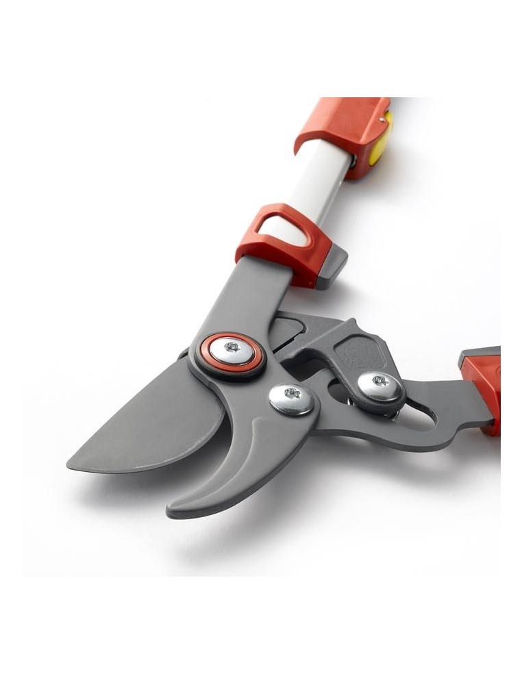 Elagueur Coupe Branches OS900T - Outils Wolf Outils Wolf Coupe-branche