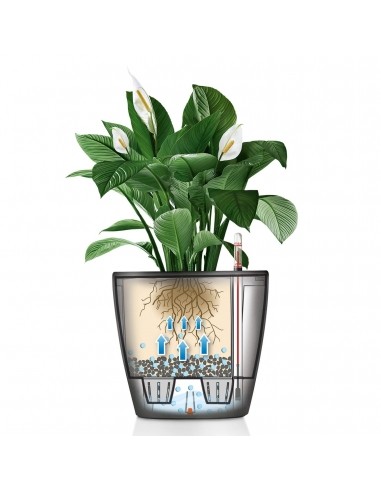 Pot à Réserve d'eau Classico Anthracite mat - LECHUZA Lechuza Pot à réserve d'eau