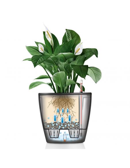 Pot à Réserve d'eau Classico Anthracite mat - LECHUZA Lechuza Pot à réserve d'eau