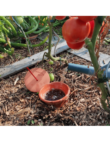 Oyas/ Ollas Traditionel 1,5L - Hozelock Hozelock Oyas & départ en vacances