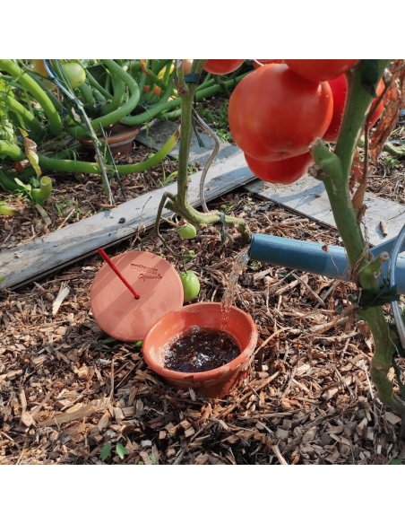 Oyas/ Ollas Traditionel 1,5L - Hozelock Hozelock Oyas & départ en vacances