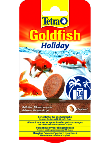 Goldfish Holiday x2 - Tetra Tetra Eau froide