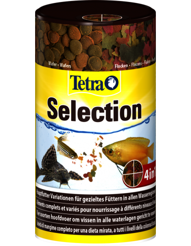 Selection 250ml - Tetra Tetra Eau chaude
