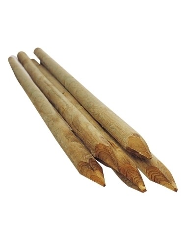 Tuteur fraisé Ø5 x H.200 cm  Tuteur bois et tuteur bambou