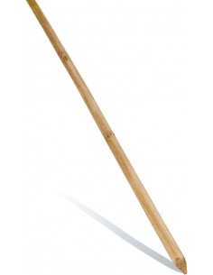 Tuteur fraisé Ø5 x H.200 cm  Tuteur bois et tuteur bambou