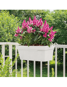 Kit Jardinière LIKE blanc 49 cm - Deroma Deroma Jardinière plastique 2