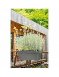 Kit Jardinière LIKE anthracite 49 cm - Deroma Deroma Jardinière plastique 2