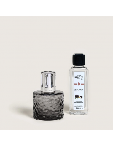 Coffret Mirage Vanille 250ml - Maison Berger Maison Berger Petit objet à poser