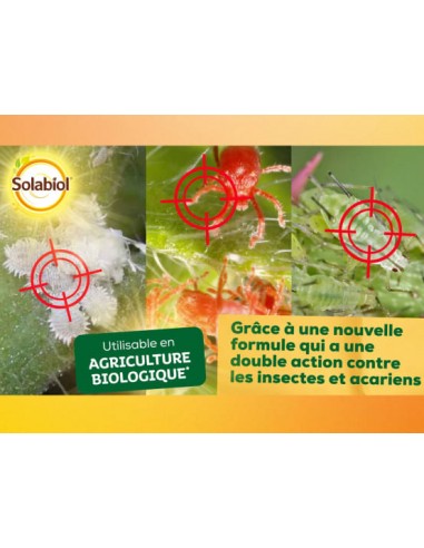 Insecticide Polyvalent 100ml - Solabiol Solabiol Anti-nuisible
