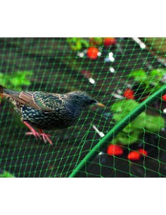 Filet de protection oiseaux 2 x 10m - Jardiland Jardiland Film et filet de protection