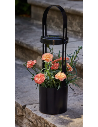 Applique végétale solaire 10 lumens - ECLOZ ECLOZ Spot, applique et balise