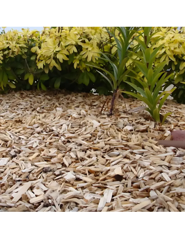 Plaquette de paillage 20L - Bois du Nord  Paillage des sols