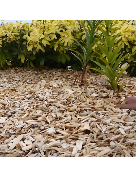 Plaquette de paillage 20L - Bois du Nord  Paillage des sols