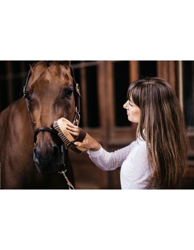 Brosse douce à poils doux - Kentucky Kentucky Chevaux