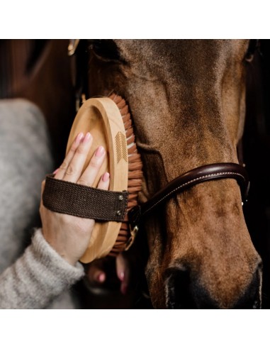 Brosse douce à poils doux - Kentucky Kentucky Chevaux