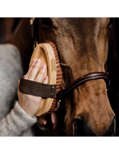 Brosse douce à poils doux - Kentucky Kentucky Chevaux