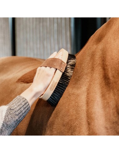 Brosse douce à poils durs - Kentucky Kentucky Chevaux