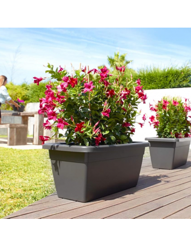 Jardinière Venezia XL 80cm Anthracite - ARTEVASI  Pot, bac et jardinière en plastique