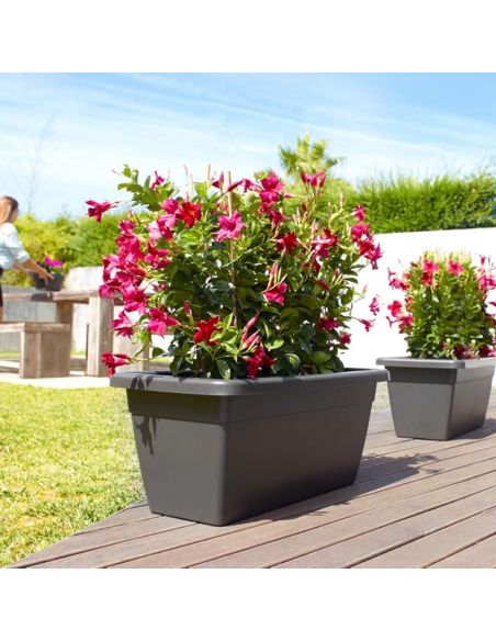 Jardinière Venezia XL 80cm Anthracite - ARTEVASI  Pot, bac et jardinière en plastique
