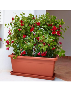 Jardinière Venezia XL 80cm couleur Terre Cuite - ARTEVASI  Pot, bac et jardinière en plastique 2
