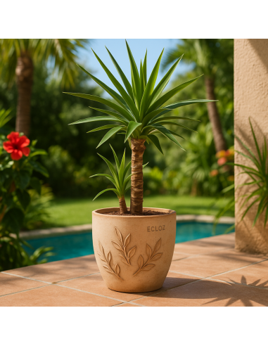 Pot en terre cuite Amano Ø22 cm - ECLOZ ECLOZ Pot et bac en terre cuite rond