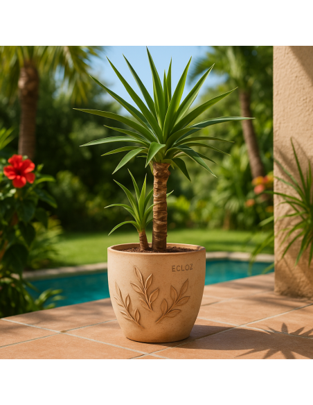 Pot en terre cuite Amano Ø22 cm - ECLOZ ECLOZ Pot et bac en terre cuite rond