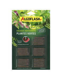 Bâtonnets engrais Plante verte x30 - Algoflash Algoflash Engrais spécifique