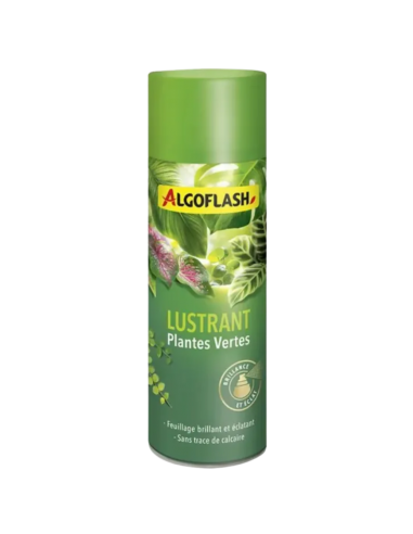 Lustrant pour Plante verte aérosol 250ml - Algoflash Algoflash Soin des plantes