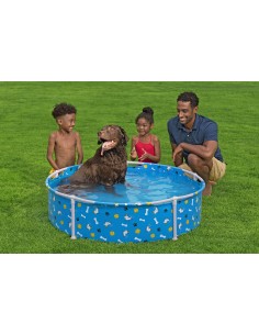 Piscine Tubulaire pour animaux Ø122xH.30.5cm - Bestway BestWay Piscine 2