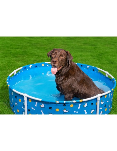 Piscine Tubulaire pour animaux Ø122xH.30.5cm - Bestway BestWay Piscine