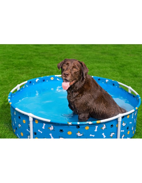 Piscine Tubulaire pour animaux Ø122xH.30.5cm - Bestway BestWay Piscine