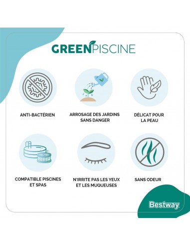 Produit de Traitement Greenpiscine 1L - Bestway BestWay Produits d'entretien de piscine