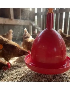 Abreuvoir poules et volailles automatique à suspendre  Accueil 2
