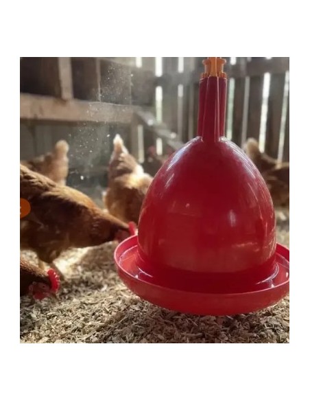 Abreuvoir poules et volailles automatique à suspendre  Accueil