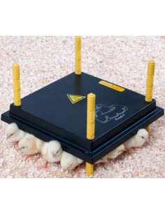 Panneau chauffant poussin Comfort 30x30cm 22W - Olba  Accueil