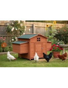 Maison en bois pour poulailler Camille 2 à 4 poules  Accueil
