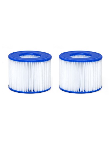 Lot de 2 cartouches Type VI pour spa gonflable Lay-Z-Spa BestWay Accueil