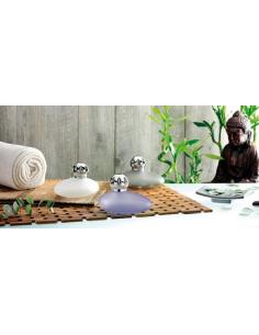 Huile parfumée "Zeste de Verveine" Berger Diffuseur de parfum 2