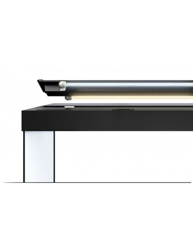 Aquarium Rio 125 LED Juwel aquarium Aquarium pour poisson d'eau chaude